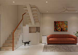 Cải tạo nhà phố với không gian cho thú cưng tại Phường Xuân Hòa